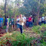 Na USP de Ribeirão Preto, alunos desafiam proibição e plantam mudas na floresta