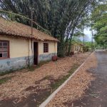 Ao demolir casas da Colônia Napolitana, no campus de Ribeirão Preto, USP ignorou inventário municipal e parecer de ex-diretora do Museu do Café