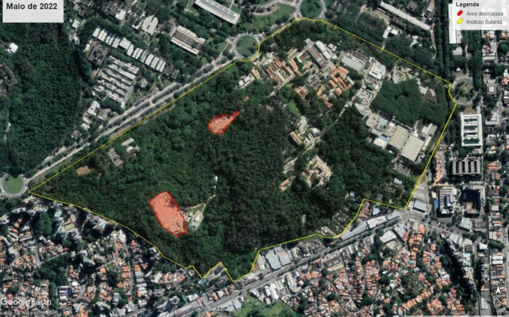 Após desmatar 17 mil m², Instituto Butantan promete acatar recomendação de não derrubar mais árvores até o Ministério Público concluir investigação