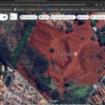 Governo estadual derrubou 589 árvores para realizar obras de ampliação do HC de Ribeirão Preto; para compensar, plantou 3.800 mudas em outro bairro