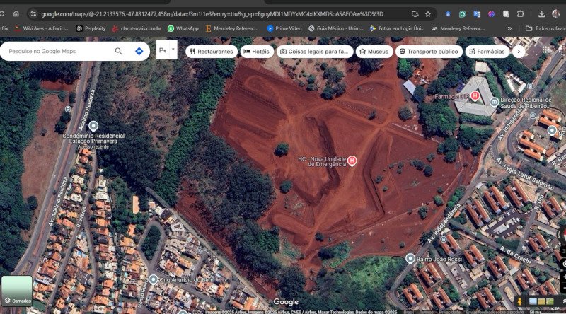 Governo estadual derrubou 589 árvores para realizar obras de ampliação do HC de Ribeirão Preto; para compensar, plantou 3.800 mudas em outro bairro