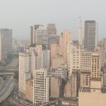 Em audiência pública no STF, entidades denunciam desmonte das políticas ambientais do estado de São Paulo, que agravou a crise das queimadas de 2024