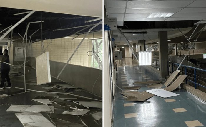 reprodução de redes sociais