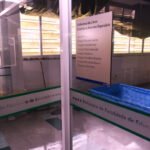 No lugar dos livros, piscinas plásticas e baldes: desde maio, a Biblioteca da Faculdade de Educação vive uma rotina de emergências, sem solução rápida da Reitoria para restaurar o telhado do prédio